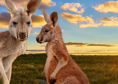 Australia